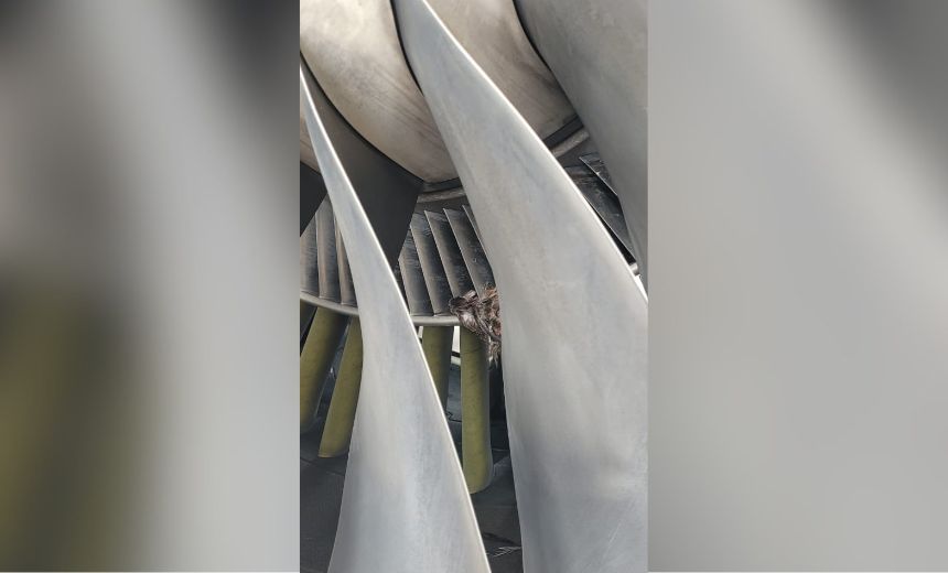 Nigeria Stories tweet media