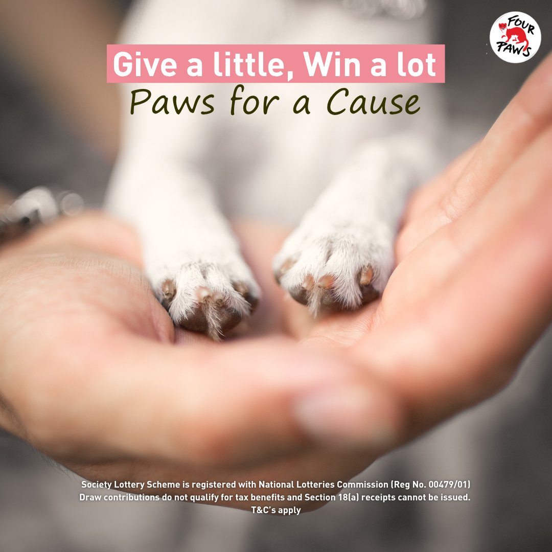 FOUR PAWS South Africa tweet media