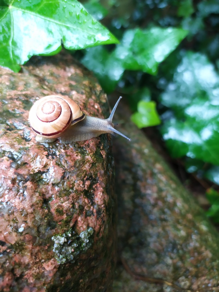 Mechtylda tweet media