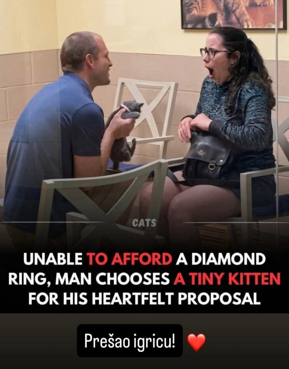 Neprolazna tweet media