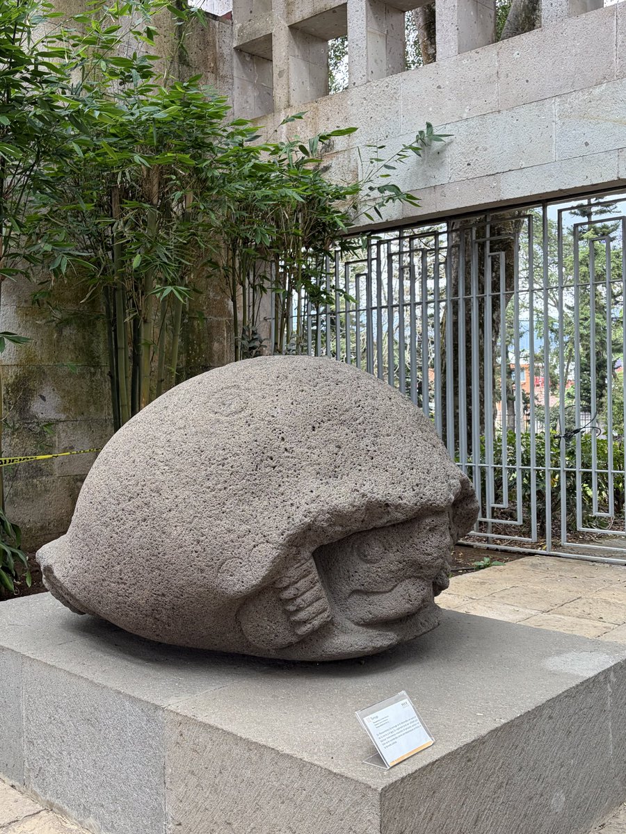 marieta 🍉 tweet media