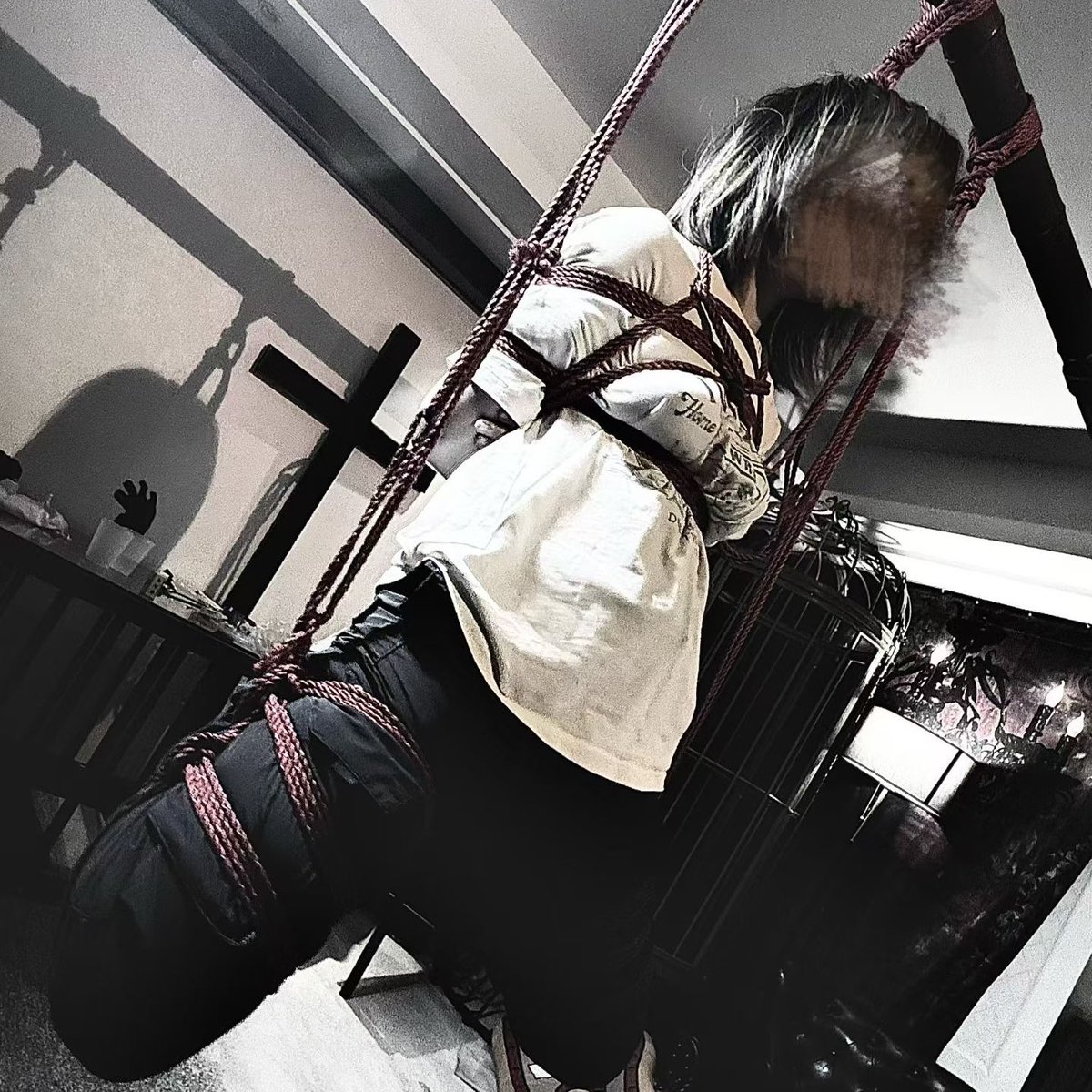 MT-CC·Studio tweet media