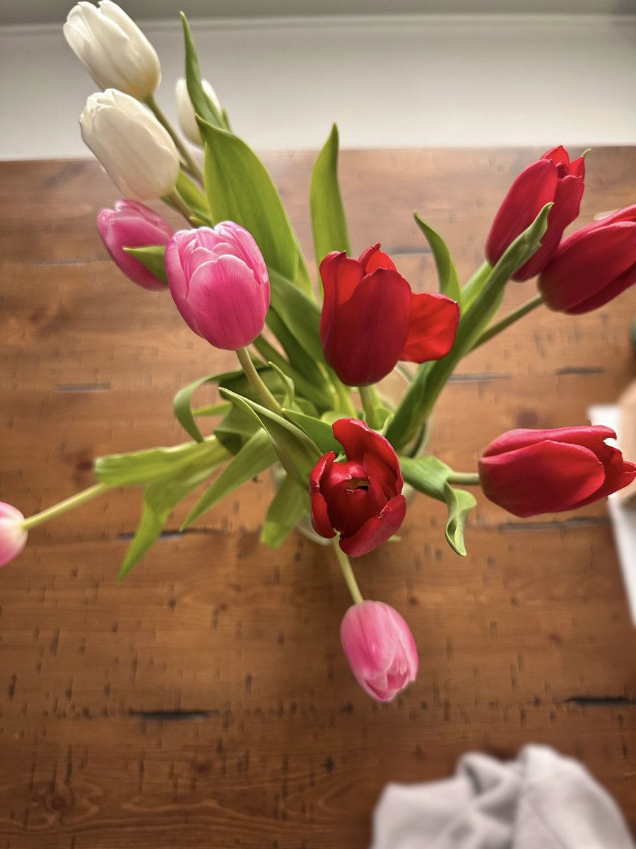 Goddess Dahlia tweet media