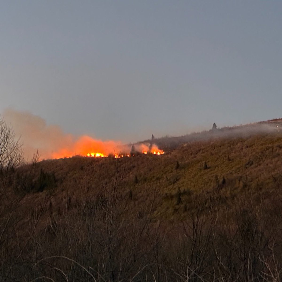 WataugaOnline's tweet image. 🔥 NEW: Black Balsam Fire burning near Blue Ridge Parkway MP 420 — 5 acres, 75% contained. Parkway CLOSED from MP 411.9 to 423.2. Also active: Poplar Fire (350 ac, 80%), Tarkiln Ridge (407 ac, 90%), Nix Creek (100%). Statewide burn ban in effect. #BlueRidgeParkway #WNC #WildFire