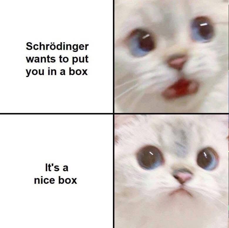 Swottiestswot tweet media