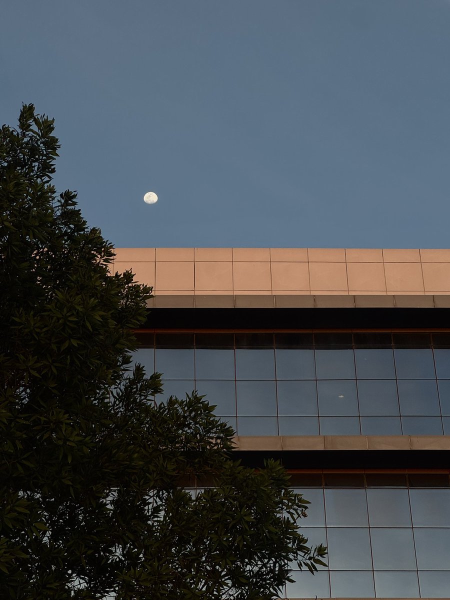 Manar🪄 tweet media