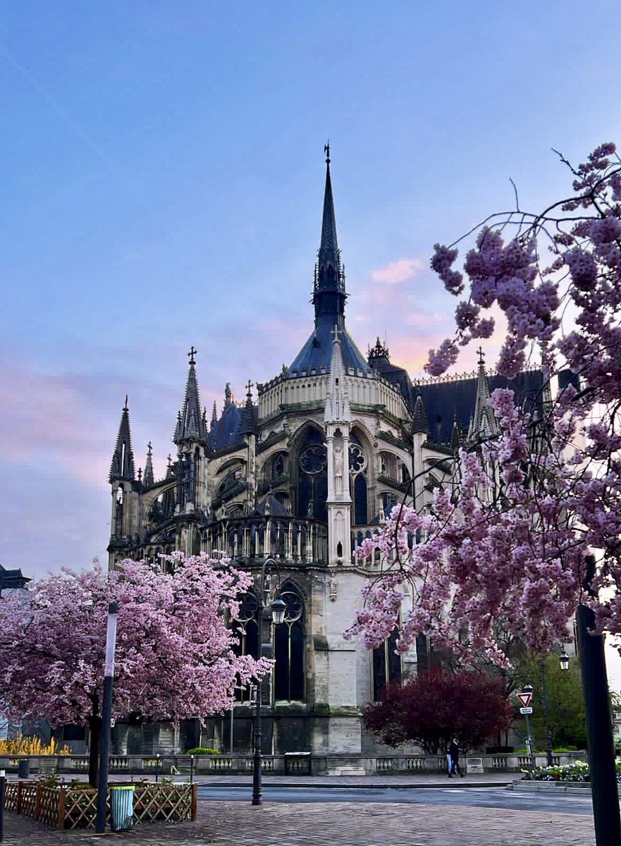 ReimsGoodNews's tweet image. Jolie vue printanière sur le chevet de la cathédrale de Reims 🤩👌🏼🌸
#Reims #Patrimoine #Printemps #ReimsEstBelle