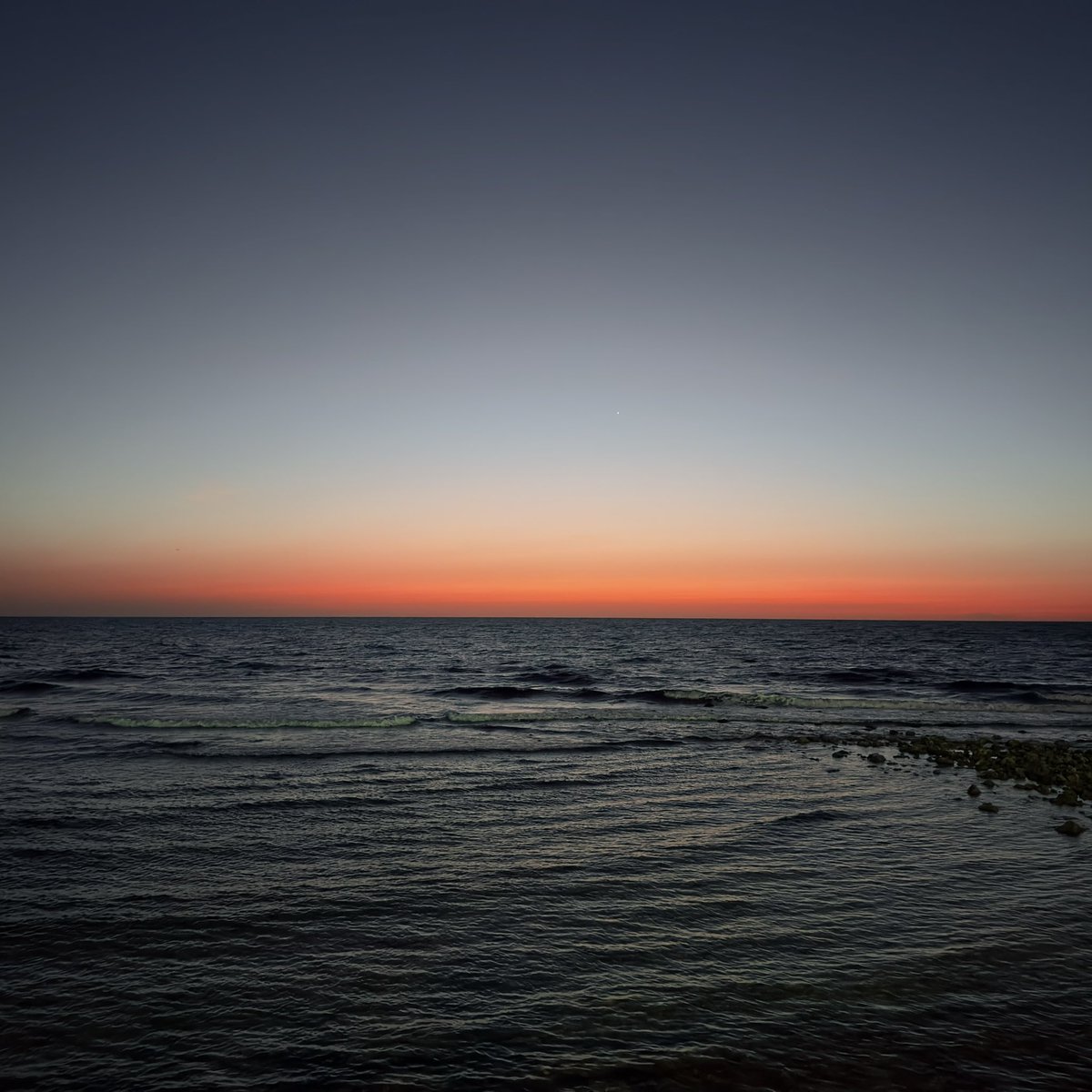 ماجد tweet media