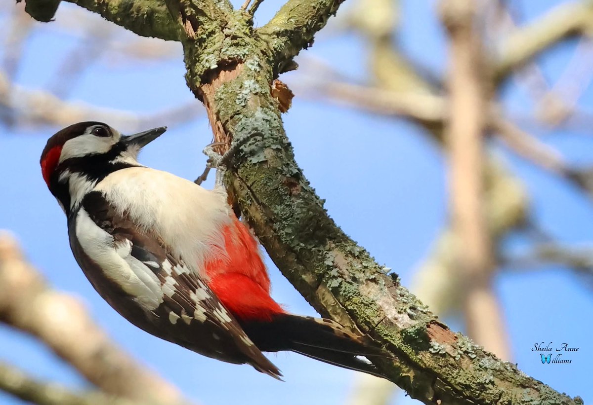 Friends of Wildern Local Nature Reserve tweet media