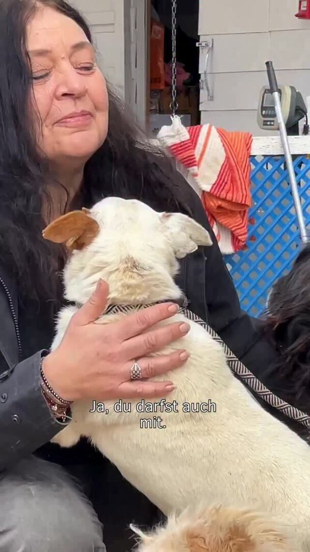 Notpfote Animal Rescue e.V. tweet media