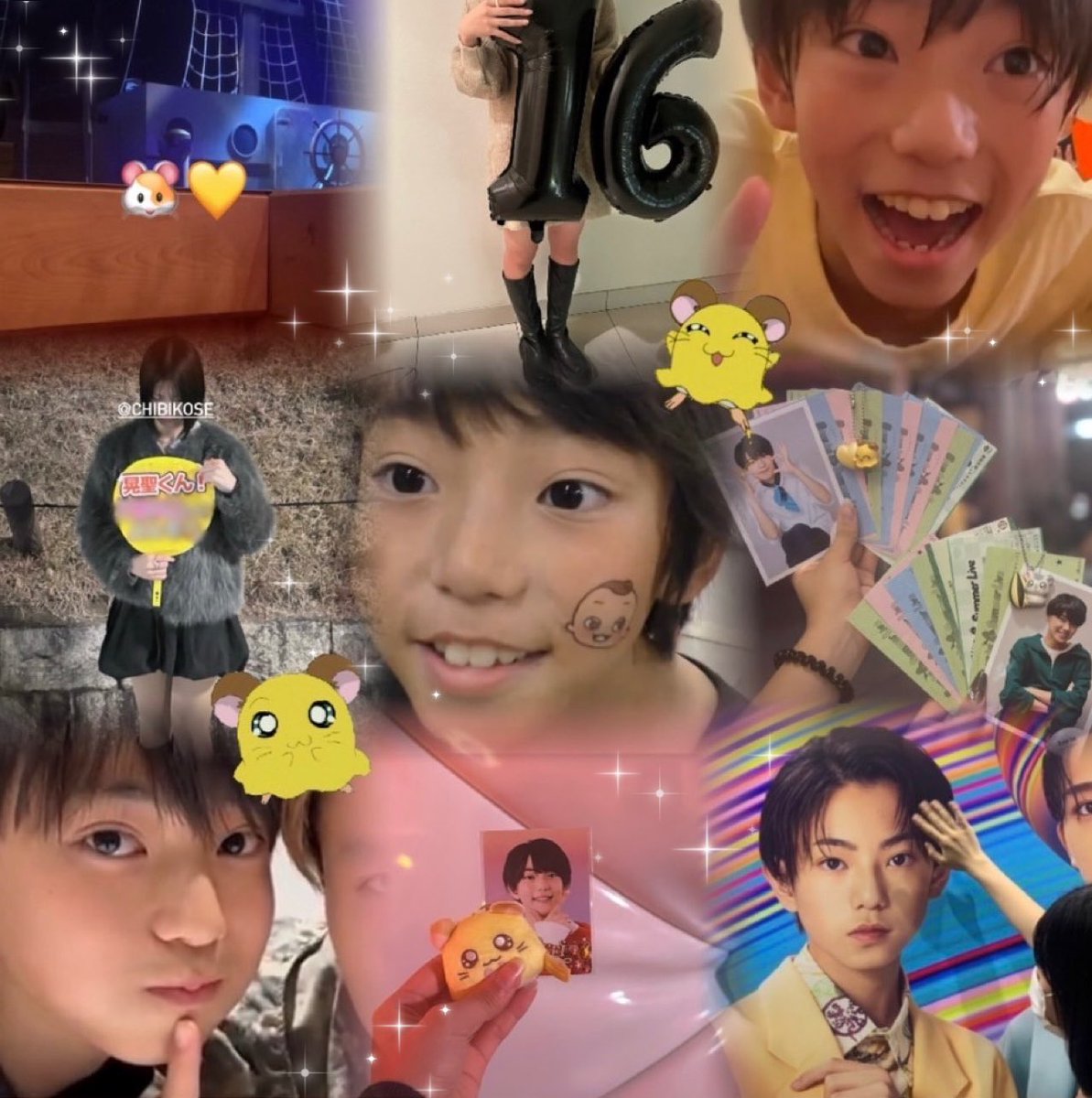 丸岡晃聖くん🐹💛 tweet media