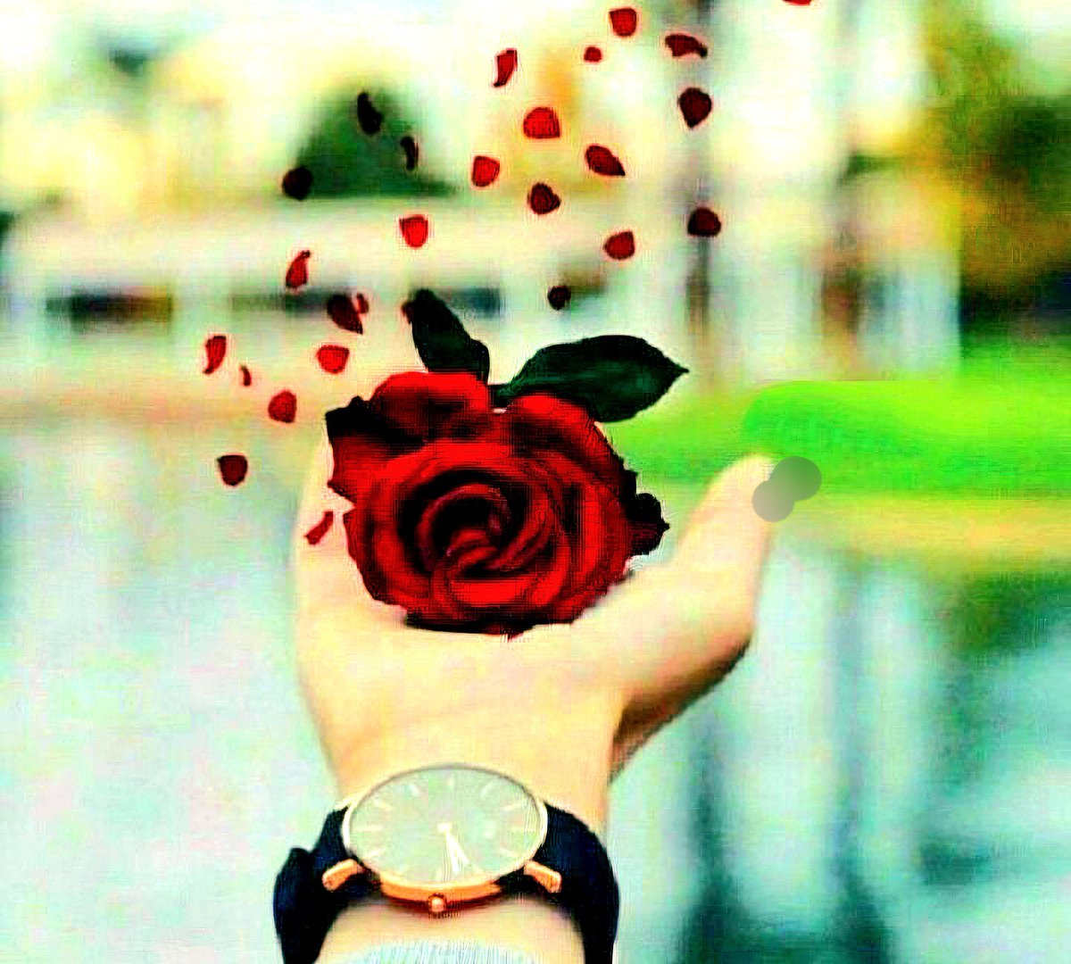 🌹Sharmeen Süeda Nour🌹🌹Türkmen kızı🌹 tweet media