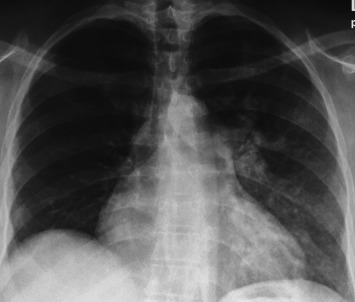 عبدالله ميدسن ☕️⚡️ tweet media