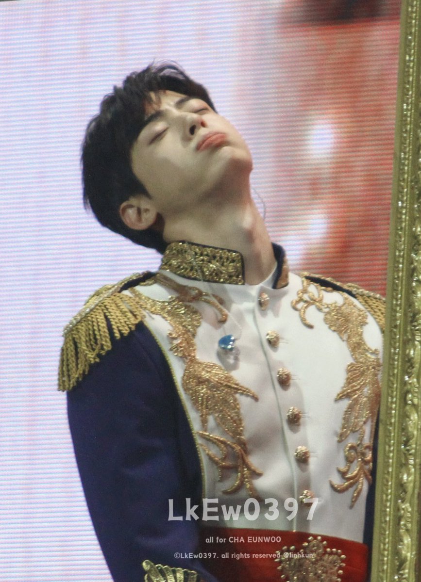 berenice tweet media