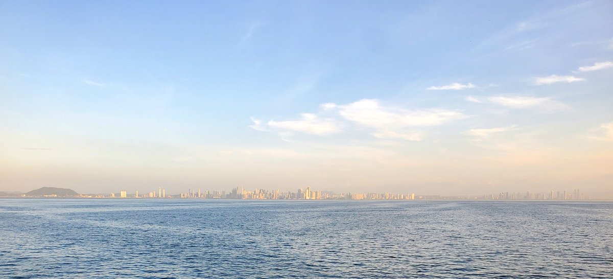 Ochadoji tweet media