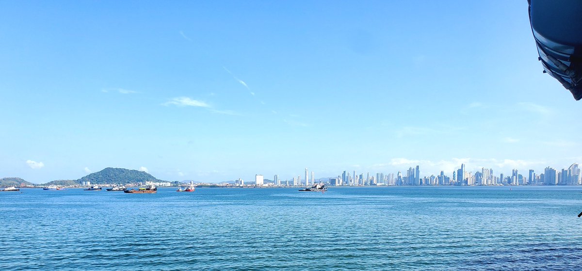 Ochadoji tweet media