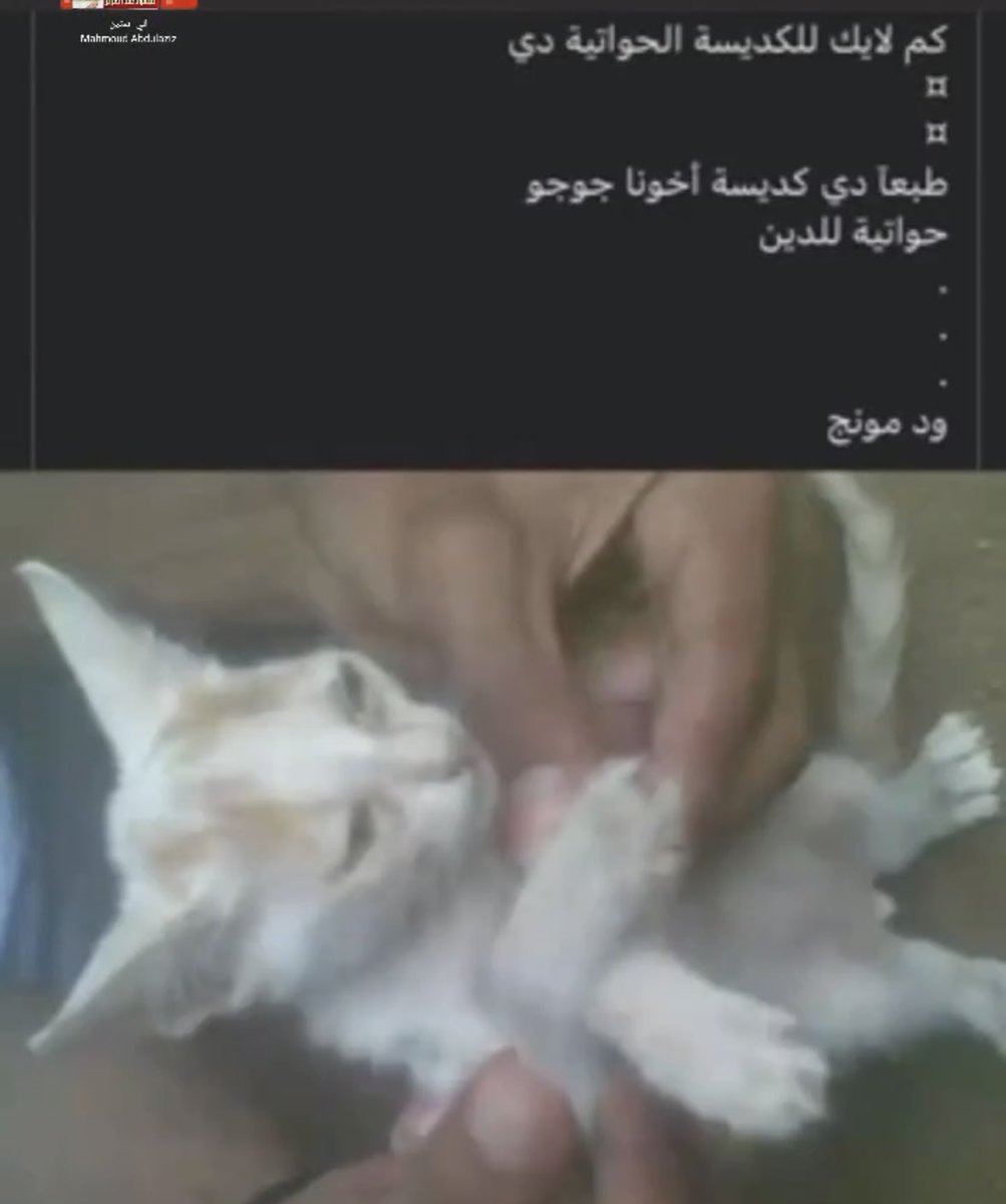 fiona🌷 tweet media