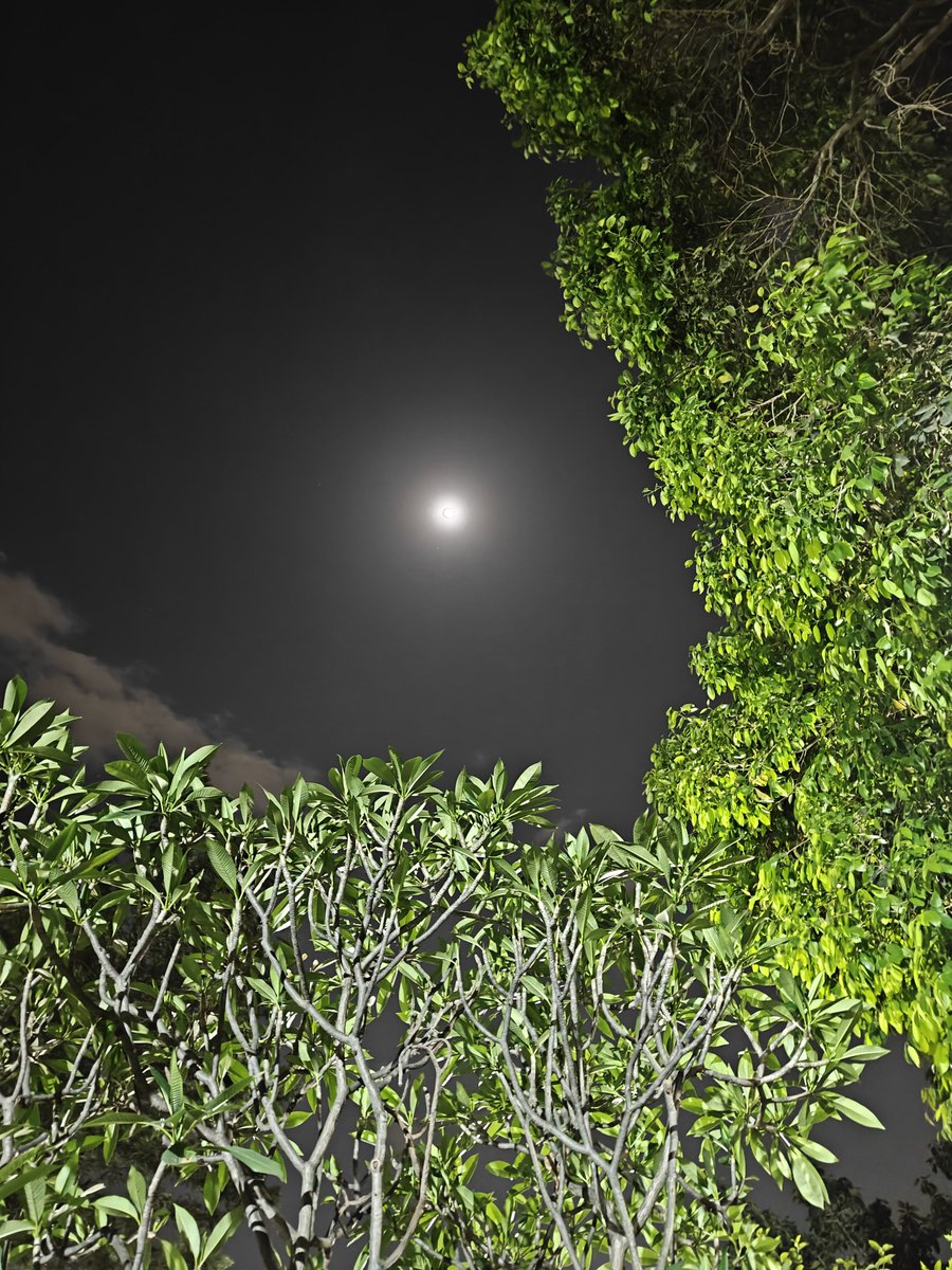 bronz_O_Genius's tweet photo. 🌙 चाँद मेरा दिल, चाँदनी हो तुमचाँद से है दूर, चाँदनी कहाँ
लौट के आना है यहीं तुम्हेंजा रहे हो तुम,
जाओ मेरी जान...
My fav song ,aapka ??
#Moonclick 🤳 kaisi hai pic.😊 https://t.co/zJbAA8xJjH