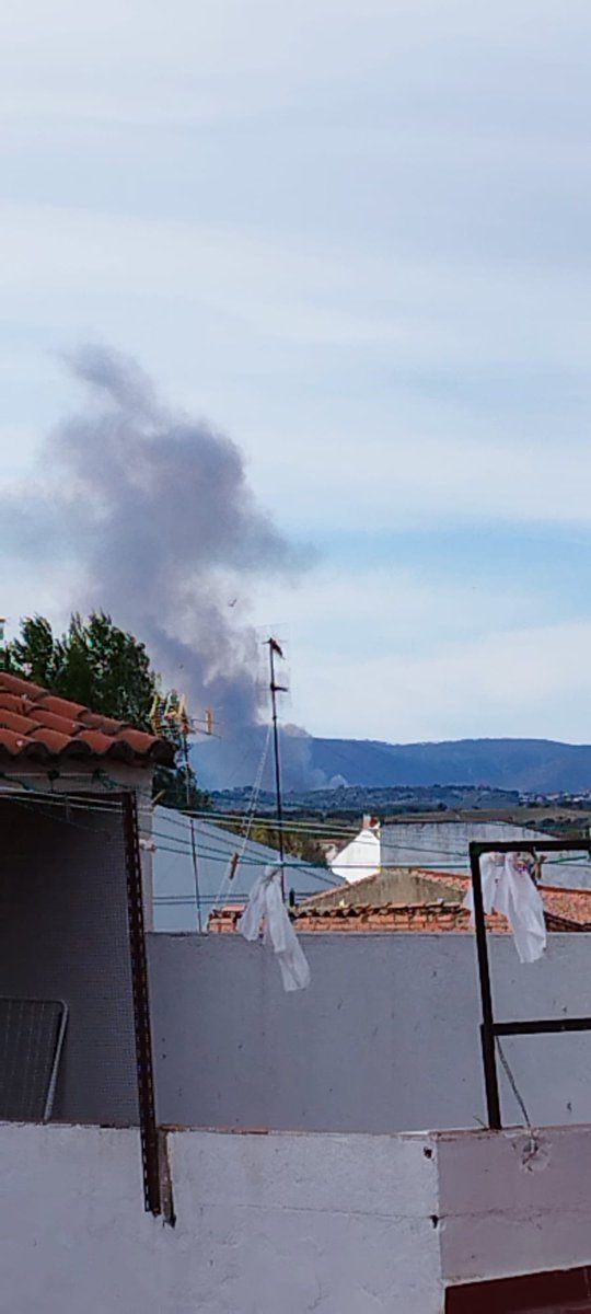 Batallón T-15 tweet media