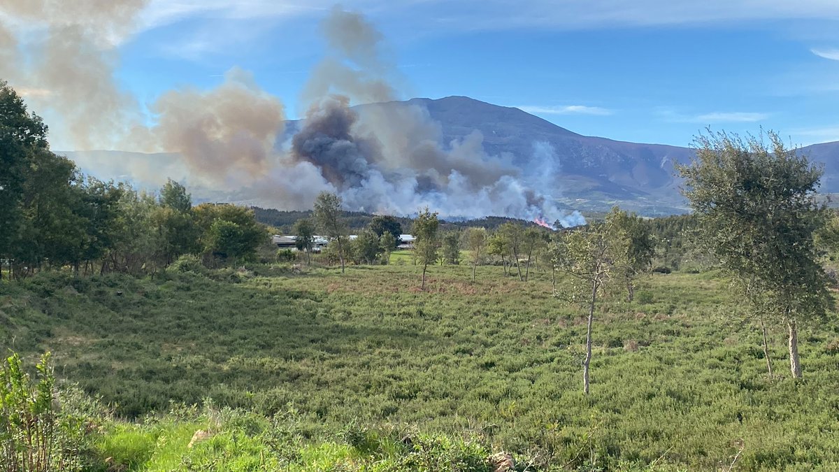 Batallón T-15 tweet media