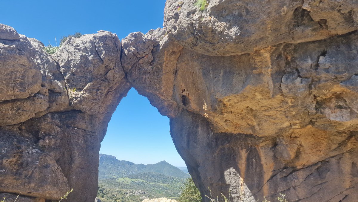 Pepe Jiménez 🇪🇸 tweet media