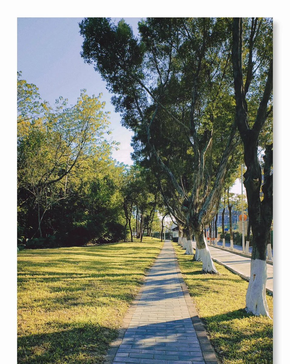 Ahhtinqq'zxc tweet media