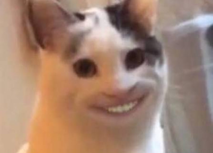 🇴🇲03 tweet media