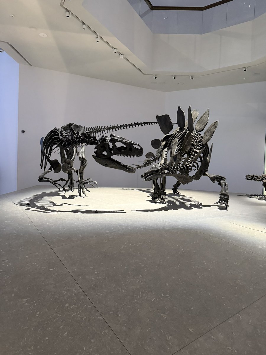 🅵🅸🆁🅰🆂 tweet media