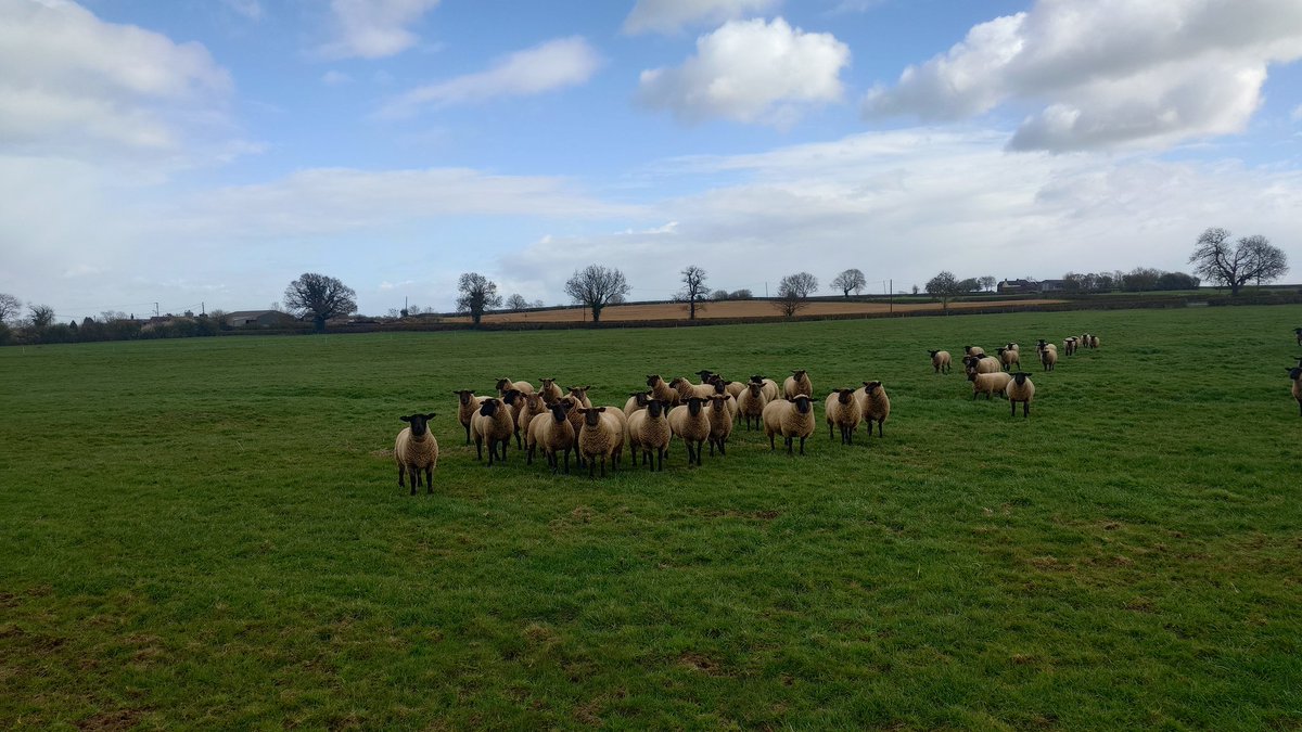 Edwin 🇬🇧🌳 tweet media