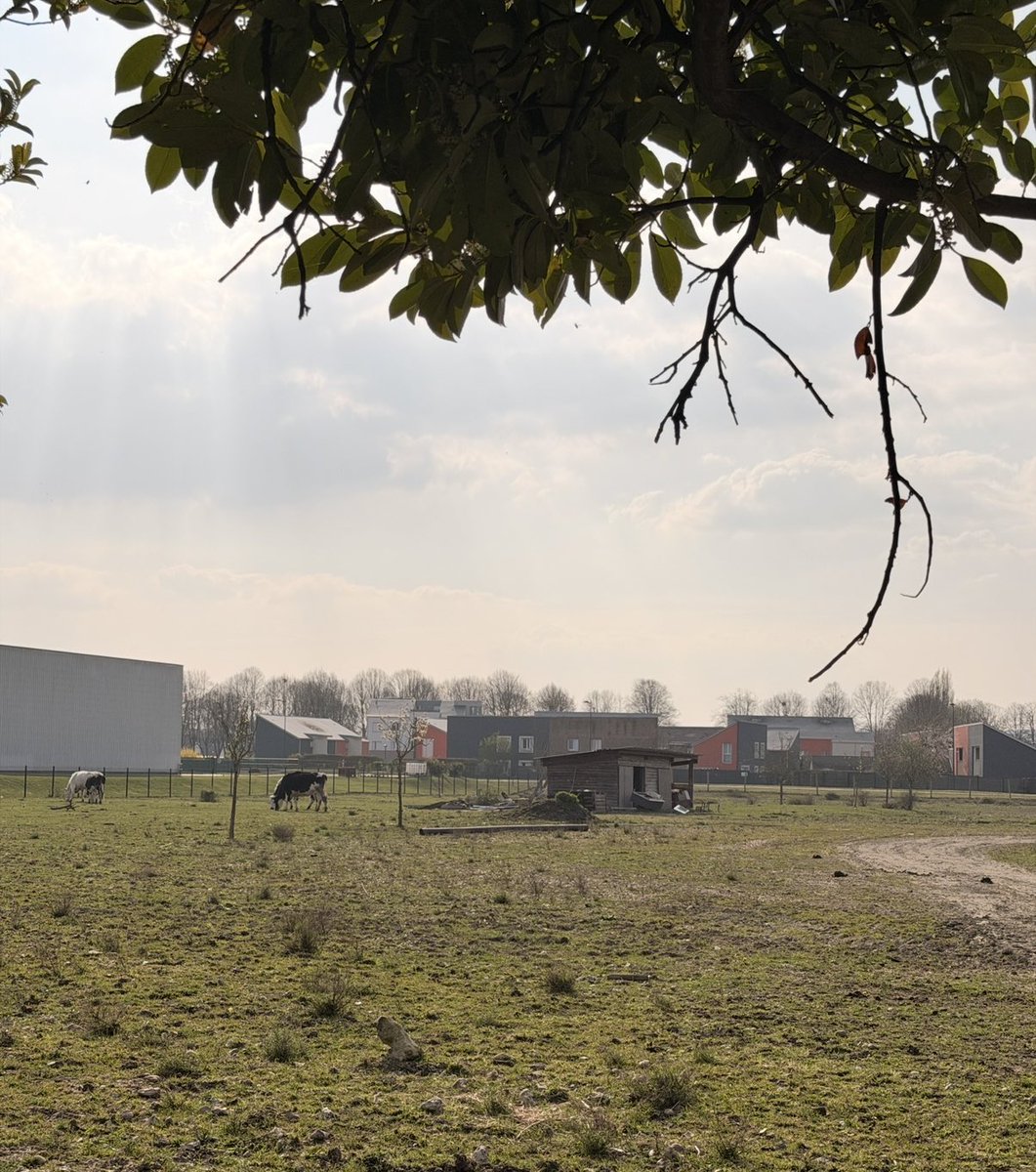 Sanaa Moubtassim tweet media