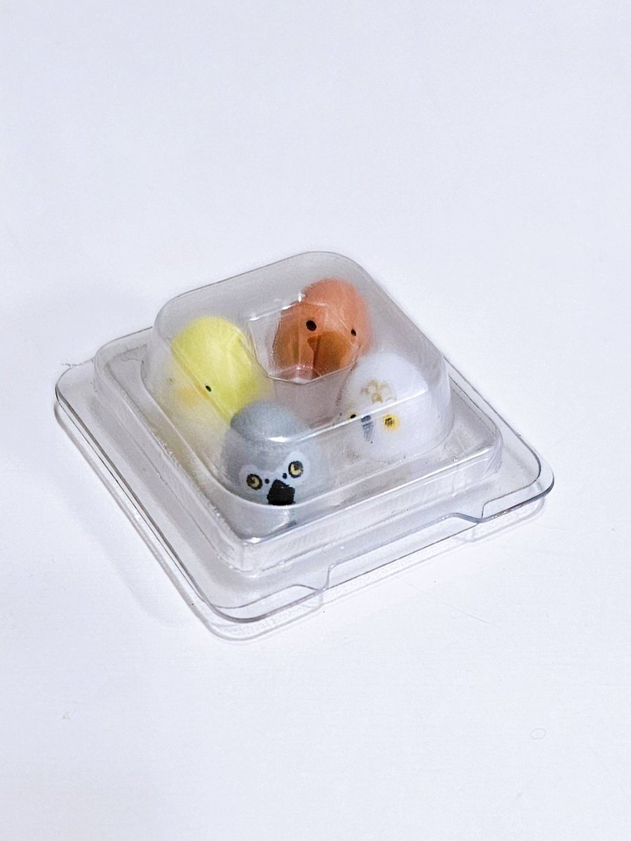 𖥧𖧧𖥣𖥧𖤣𓅂𓅫✽vanilla✽𓅩𖤣𖥧𖥣𖧧𖥧 tweet media