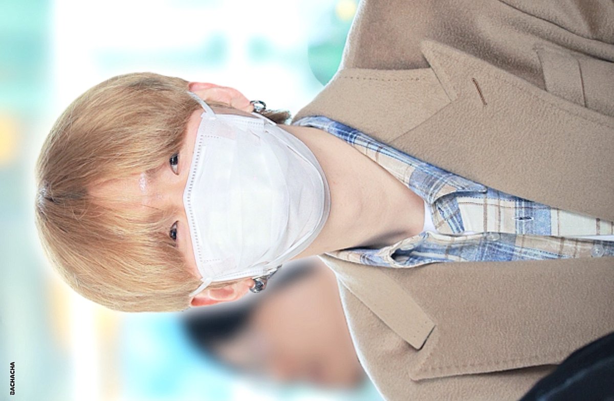 바차차 tweet media