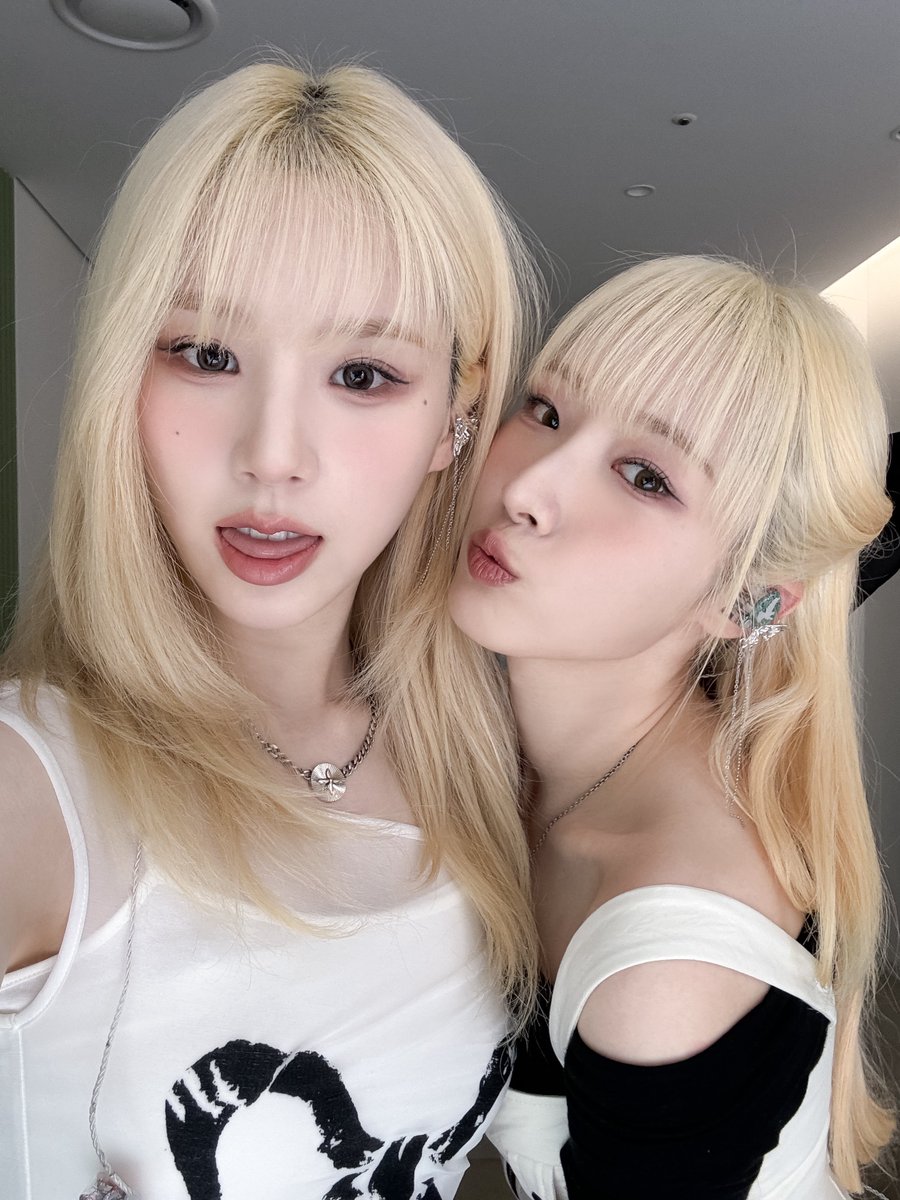 래빗뭉 tweet media