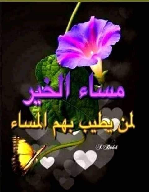 فاطمه tweet media