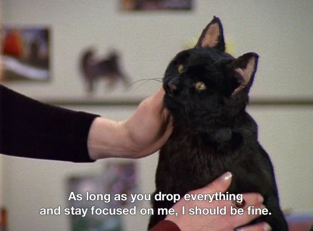 𝐑𝐢𝐯𝐞𝐫 🤍 tweet media