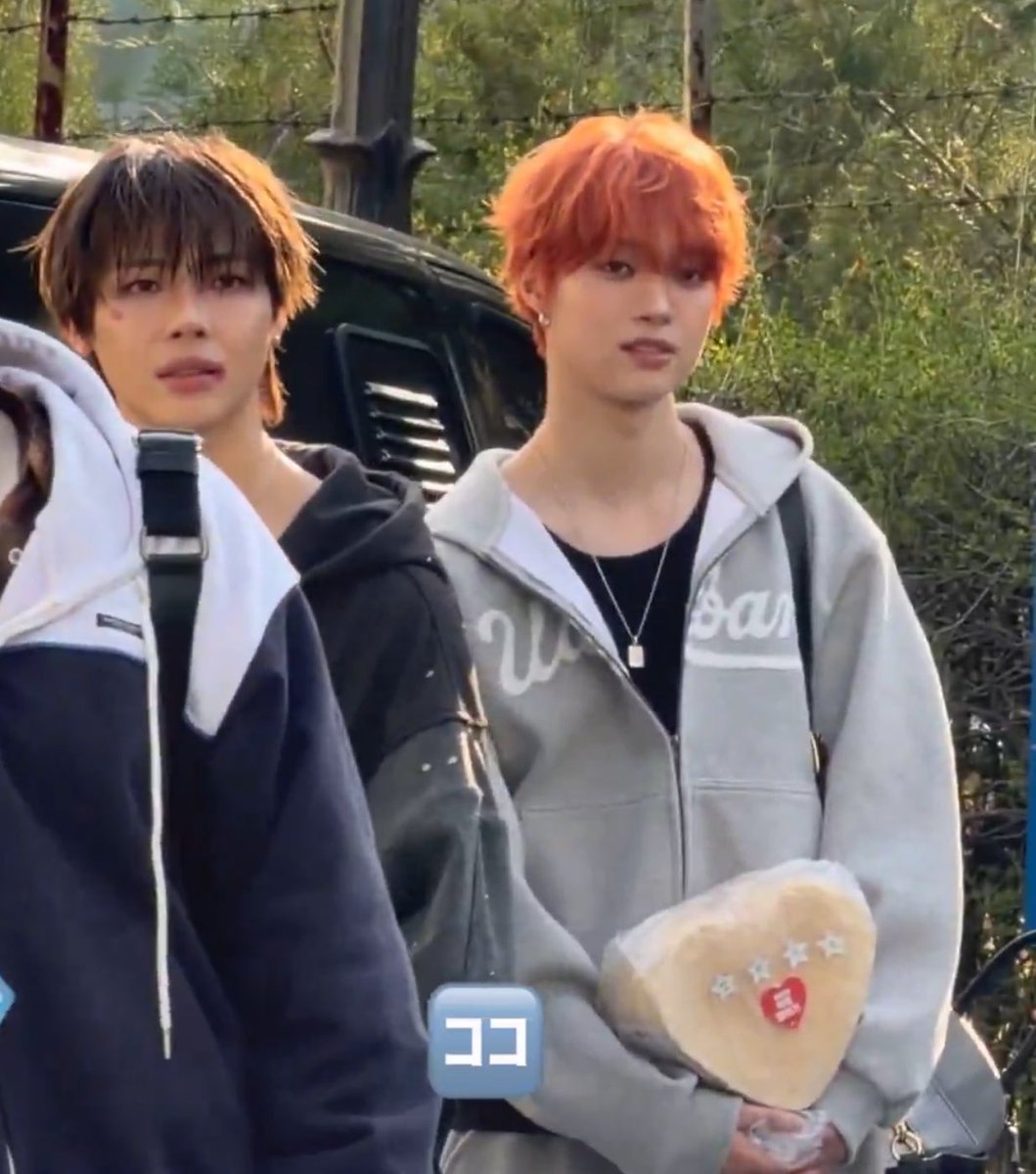 alexa 🐺 tweet media