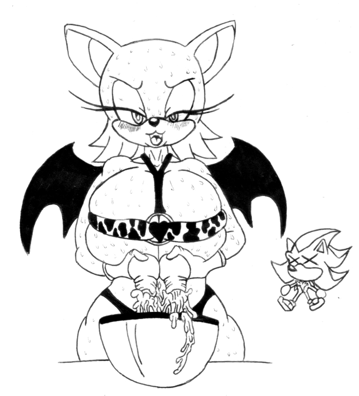 Rouge The Bat tweet media