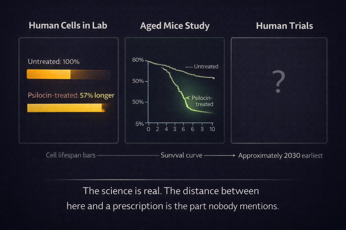 Chronos Intelligence tweet media