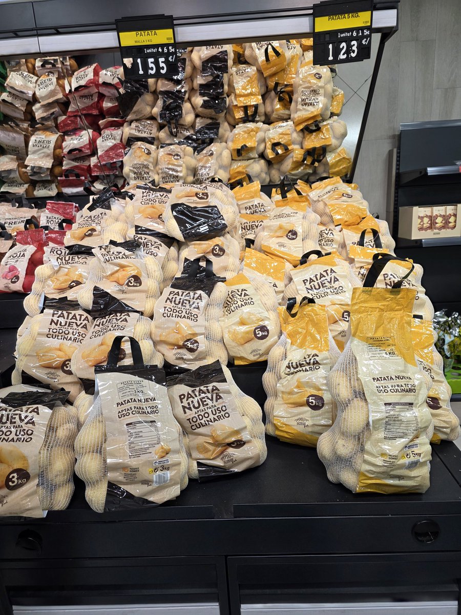 🇵🇸 I support the Palestinian RESISTANCE 🇵🇸 tweet media