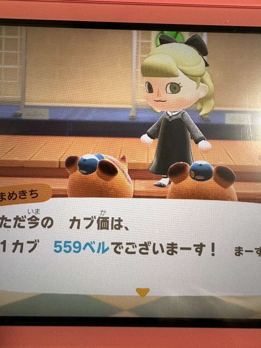 karintooo0215's tweet photo. 初めて自分の島で見たカブ価559ベル🔔
高くて嬉しい🥺💸

#あつ森　#カブ https://t.co/reh6bSKckN