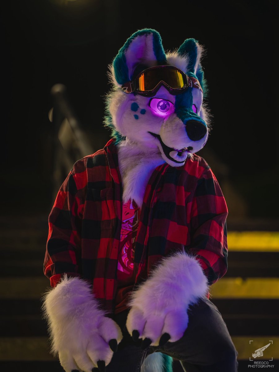 NeonGreenJellyBean 🔜Cfz26 tweet media