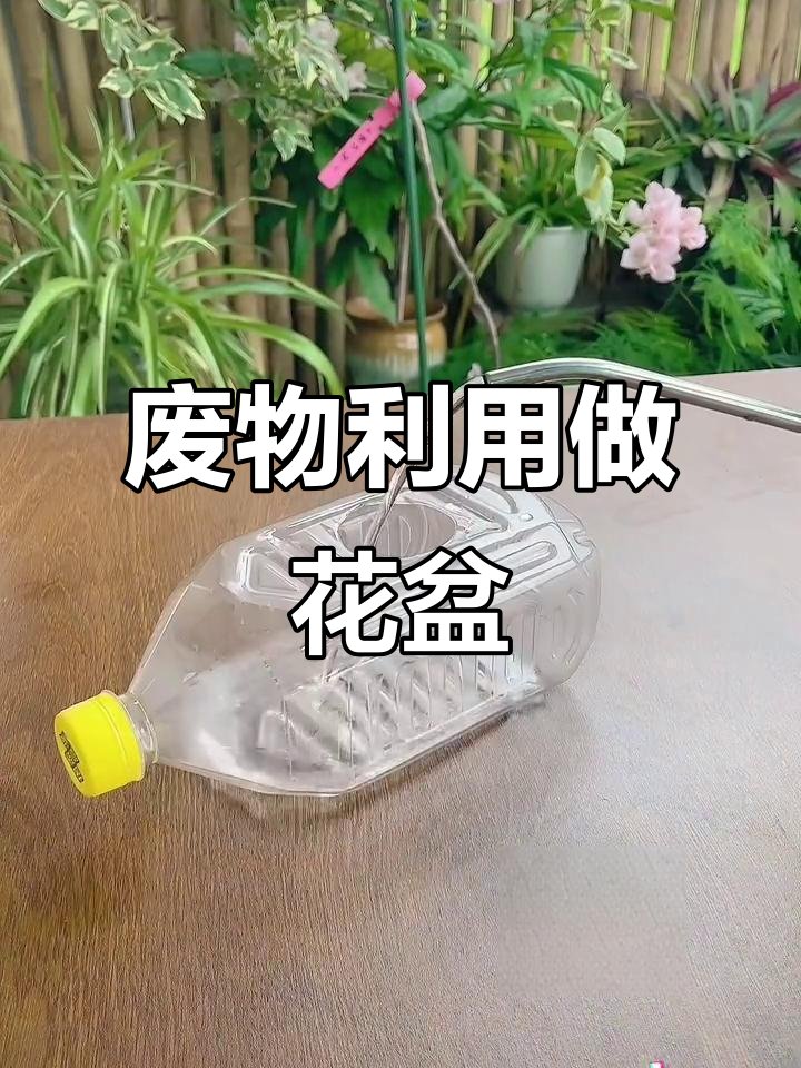 Virginia Chancellor tweet media