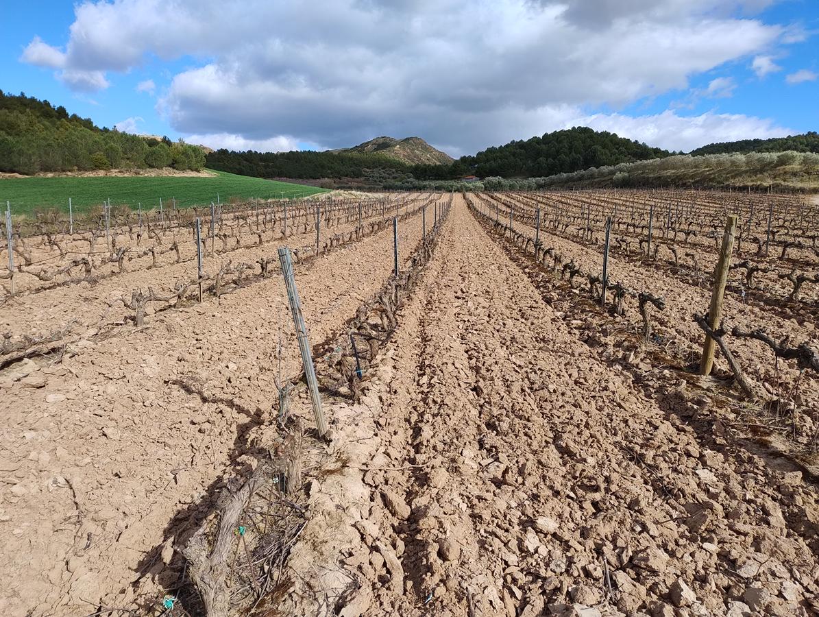 ADHalliwell tweet media