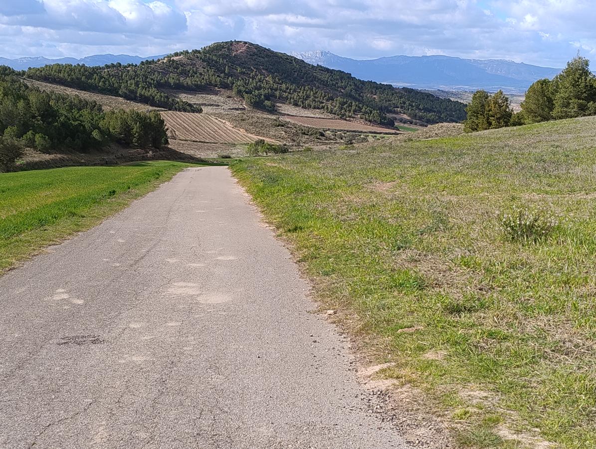 ADHalliwell tweet media