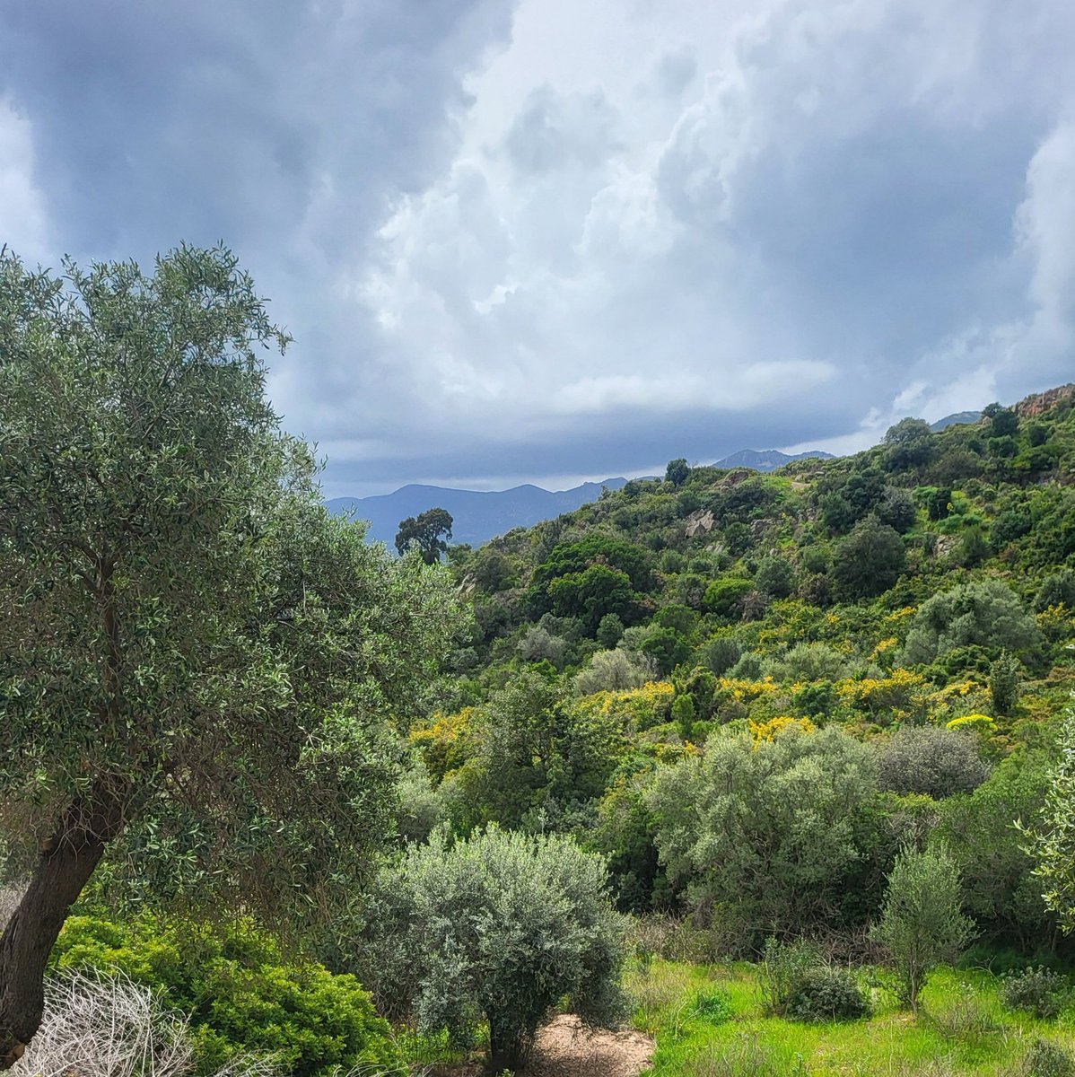 Steffen Noleppa tweet media