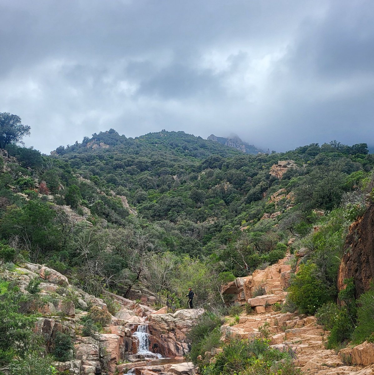 Steffen Noleppa tweet media