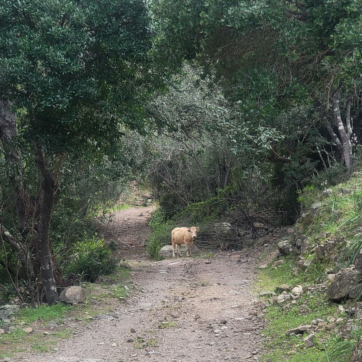 Steffen Noleppa tweet media