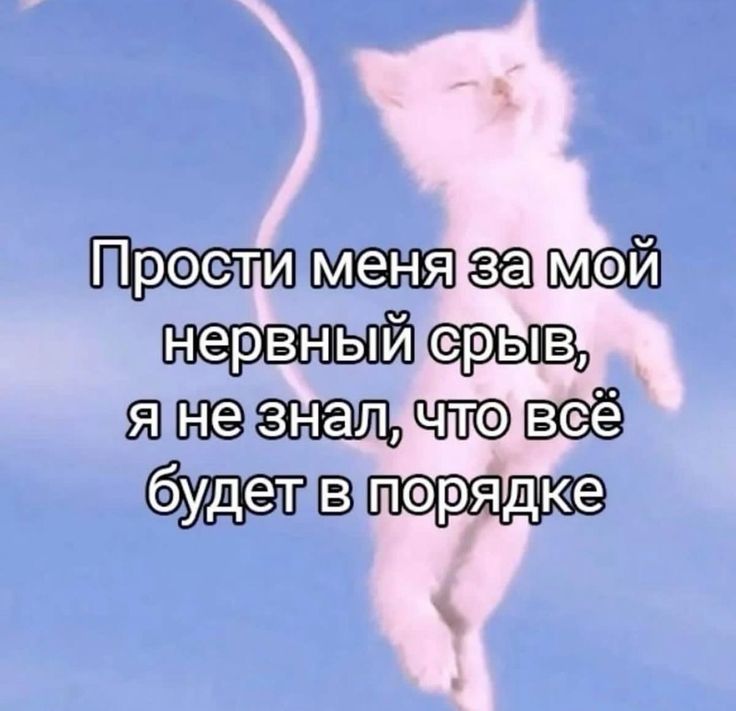 dýn.⁷ tweet media