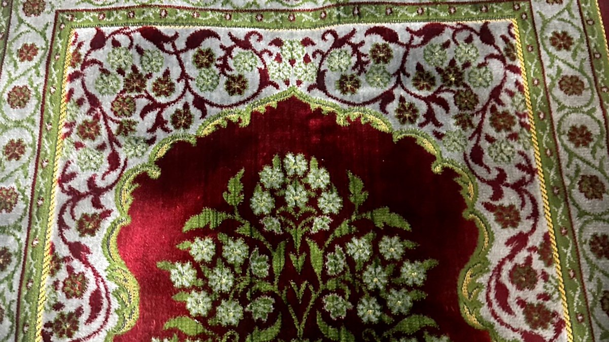 renkler var gülfem ✨