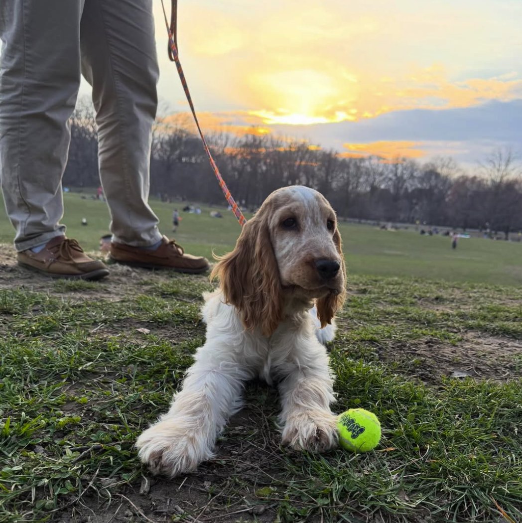 Prospect Park tweet media